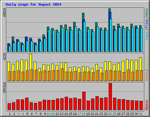 Daily usage for August 2024