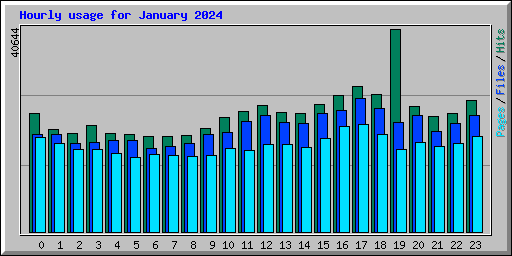 Hourly usage for January 2024