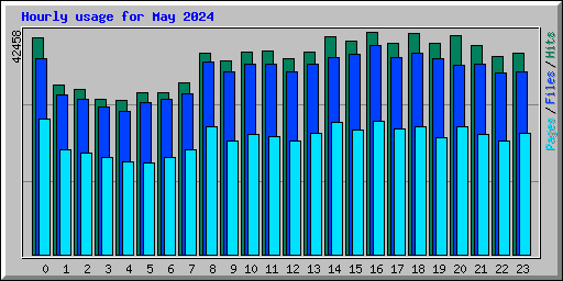 Hourly usage for May 2024