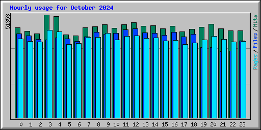 Hourly usage for October 2024